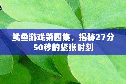 鱿鱼游戏第四集，揭秘27分50秒的紧张时刻