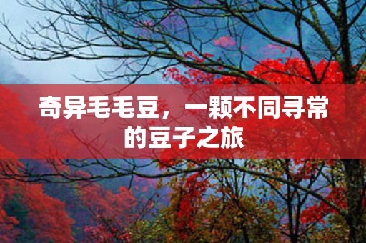 奇异毛毛豆，一颗不同寻常的豆子之旅