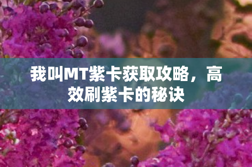 我叫MT紫卡获取攻略，高效刷紫卡的秘诀
