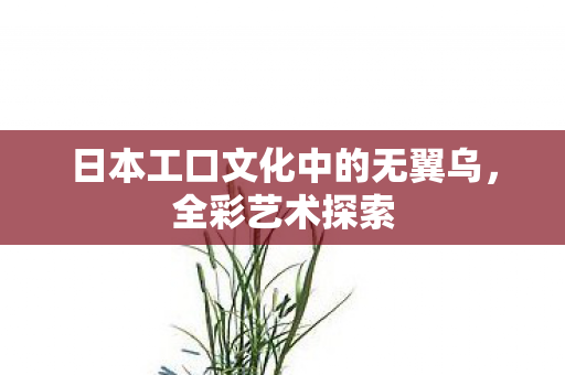 日本工口文化中的无翼乌，全彩艺术探索