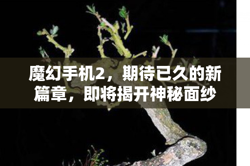 魔幻手机2，期待已久的新篇章，即将揭开神秘面纱