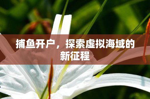 捕鱼开户，探索虚拟海域的新征程