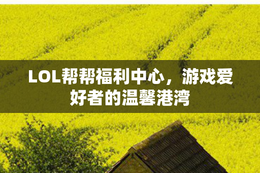 LOL帮帮福利中心，游戏爱好者的温馨港湾