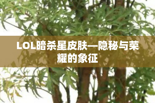 LOL暗杀星皮肤—隐秘与荣耀的象征