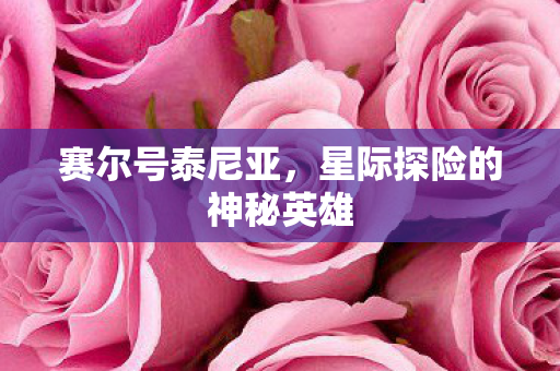 赛尔号泰尼亚，星际探险的神秘英雄