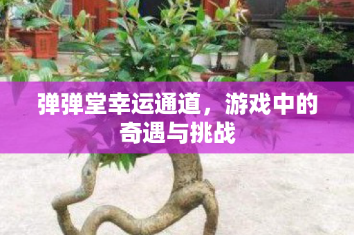 弹弹堂幸运通道，游戏中的奇遇与挑战