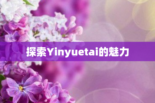 探索Yinyuetai的魅力