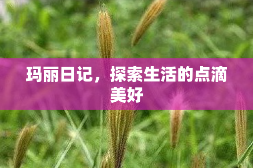 玛丽日记，探索生活的点滴美好