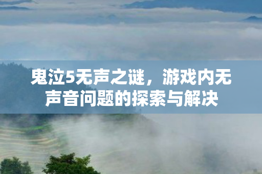 鬼泣5无声之谜，游戏内无声音问题的探索与解决
