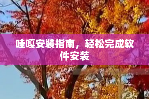 哇嘎安装指南，轻松完成软件安装