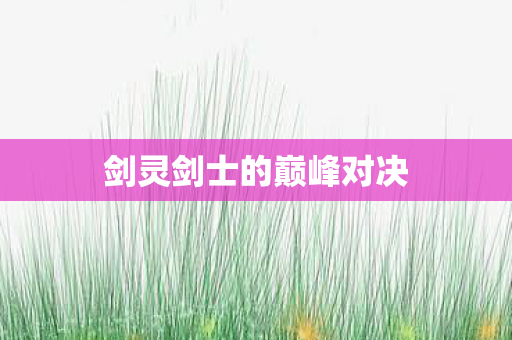 剑灵剑士的巅峰对决