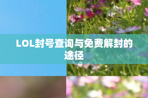 LOL封号查询与免费解封的途径