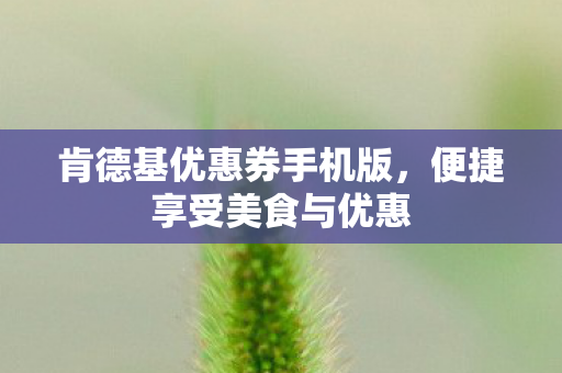 肯德基优惠券手机版，便捷享受美食与优惠