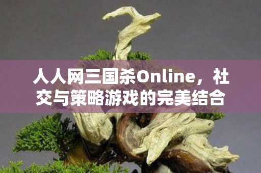 人人网三国杀Online，社交与策略游戏的完美结合
