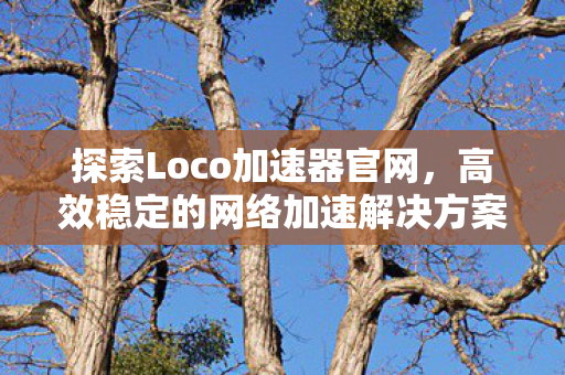 探索Loco加速器官网，高效稳定的网络加速解决方案