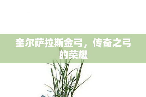 奎尔萨拉斯金弓，传奇之弓的荣耀