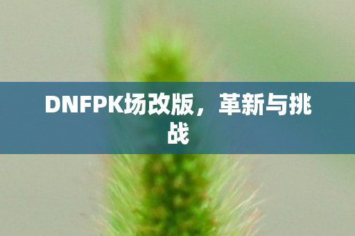 DNFPK场改版，革新与挑战