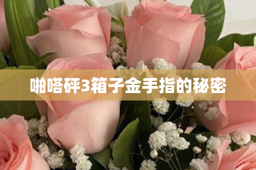 啪嗒砰3箱子金手指的秘密
