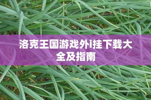 洛克王国游戏外i挂下载大全及指南