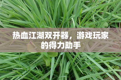 热血江湖双开器，游戏玩家的得力助手