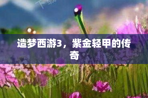 造梦西游3，紫金轻甲的传奇
