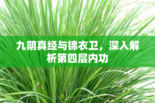 九阴真经与锦衣卫，深入解析第四层内功