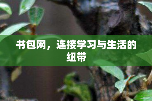 书包网，连接学习与生活的纽带