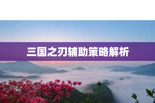 三国之刃辅助策略解析