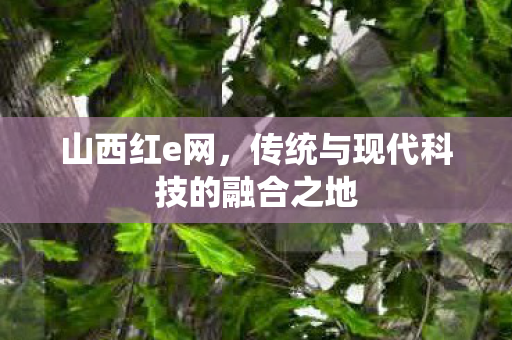 山西红e网，传统与现代科技的融合之地