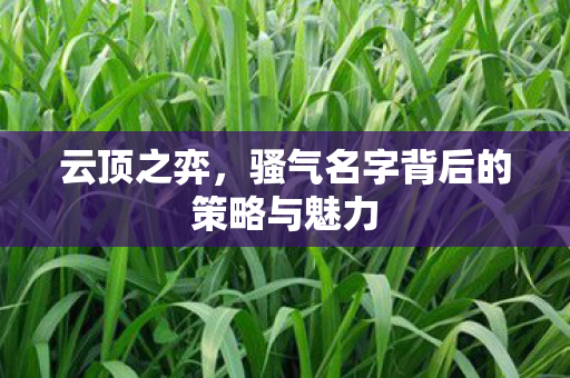 云顶之弈，骚气名字背后的策略与魅力