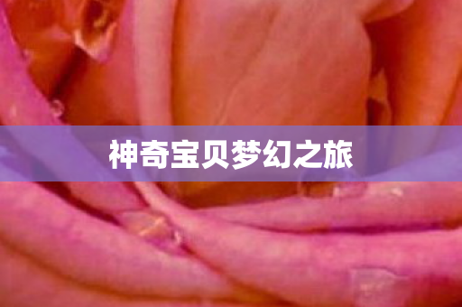 神奇宝贝梦幻之旅