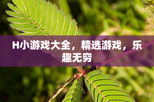 H小游戏大全，精选游戏，乐趣无穷