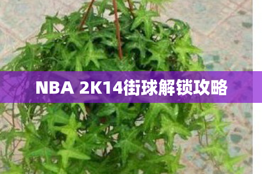 NBA 2K14街球解锁攻略