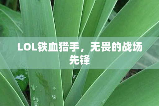 LOL铁血猎手，无畏的战场先锋