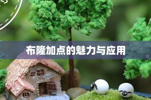 布隆加点的魅力与应用