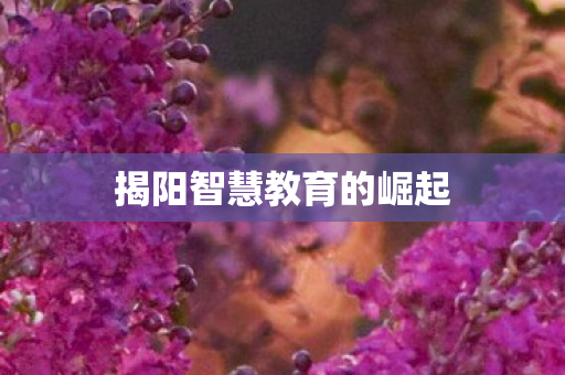 揭阳智慧教育的崛起