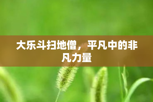 大乐斗扫地僧，平凡中的非凡力量