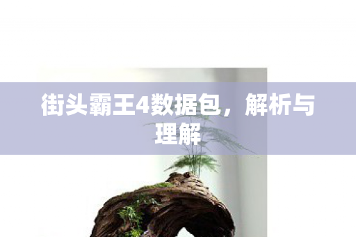 街头霸王4数据包，解析与理解