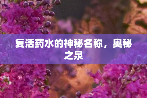 复活药水的神秘名称，奥秘之泉