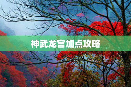 神武龙宫加点攻略