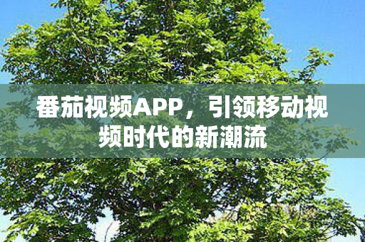 番茄视频APP，引领移动视频时代的新潮流