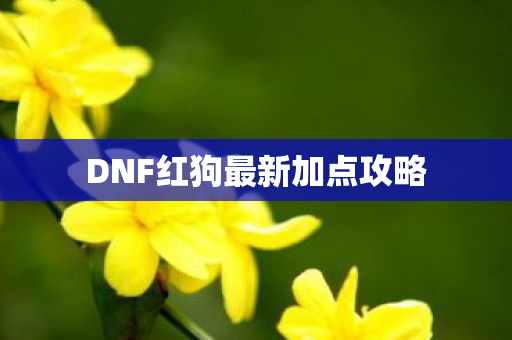 DNF红狗最新加点攻略