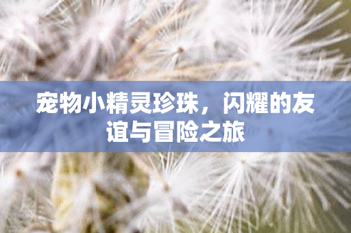 宠物小精灵珍珠，闪耀的友谊与冒险之旅