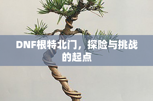 DNF根特北门，探险与挑战的起点