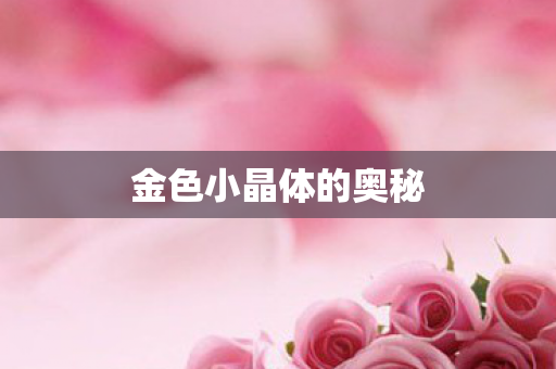 金色小晶体的奥秘