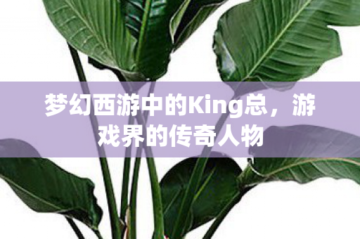梦幻西游中的King总，游戏界的传奇人物
