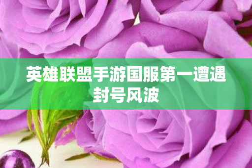 英雄联盟手游国服第一遭遇封号风波