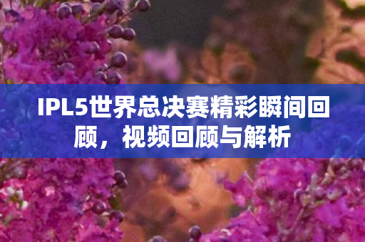IPL5世界总决赛精彩瞬间回顾，视频回顾与解析