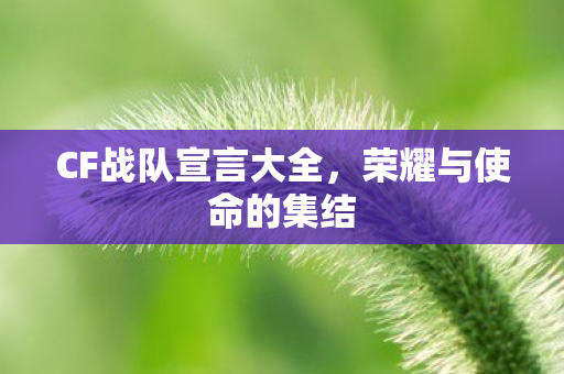 CF战队宣言大全，荣耀与使命的集结
