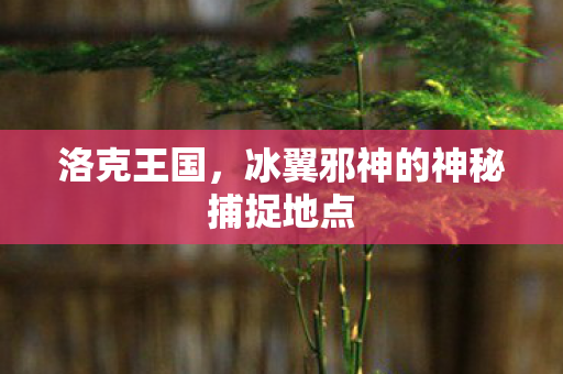 洛克王国，冰翼邪神的神秘捕捉地点